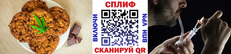 блэк спрут ONION  Карасук  Canna-Cookies конопля  что такое  