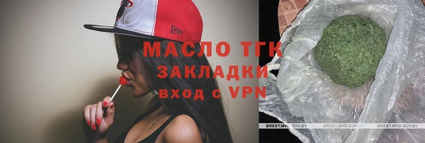 тгк Инта