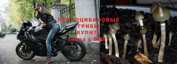 наркотики Зерноград