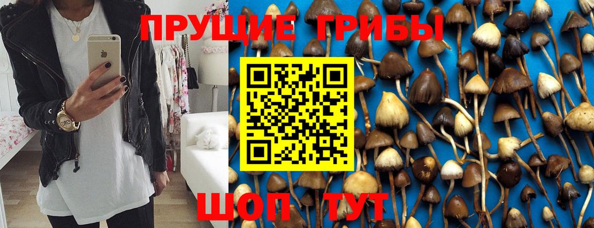Псилоцибиновые грибы MAGIC MUSHROOMS  наркота  Карасук  Псилоцибиновые грибы ЛСД  Вход с VPN 